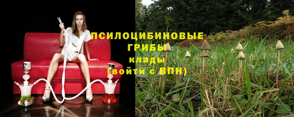 ПСИЛОЦИБИНОВЫЕ ГРИБЫ Новодвинск