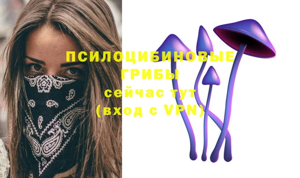 ПСИЛОЦИБИНОВЫЕ ГРИБЫ Новодвинск