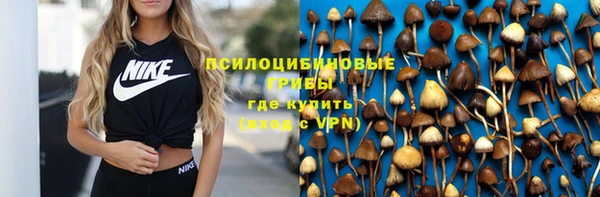 герыч Новозыбков