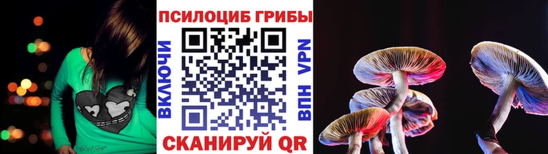 кракен вход  Пласт  Галлюциногенные грибы ЛСД 